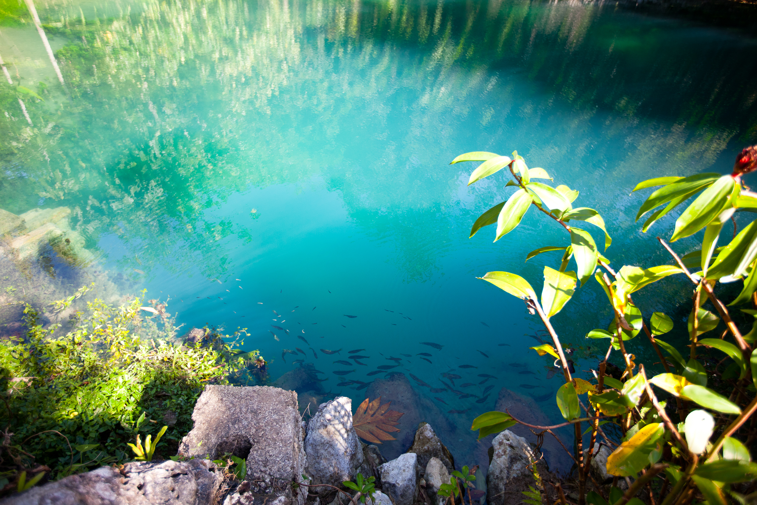 5 Most Beautiful Caves in Jamaica