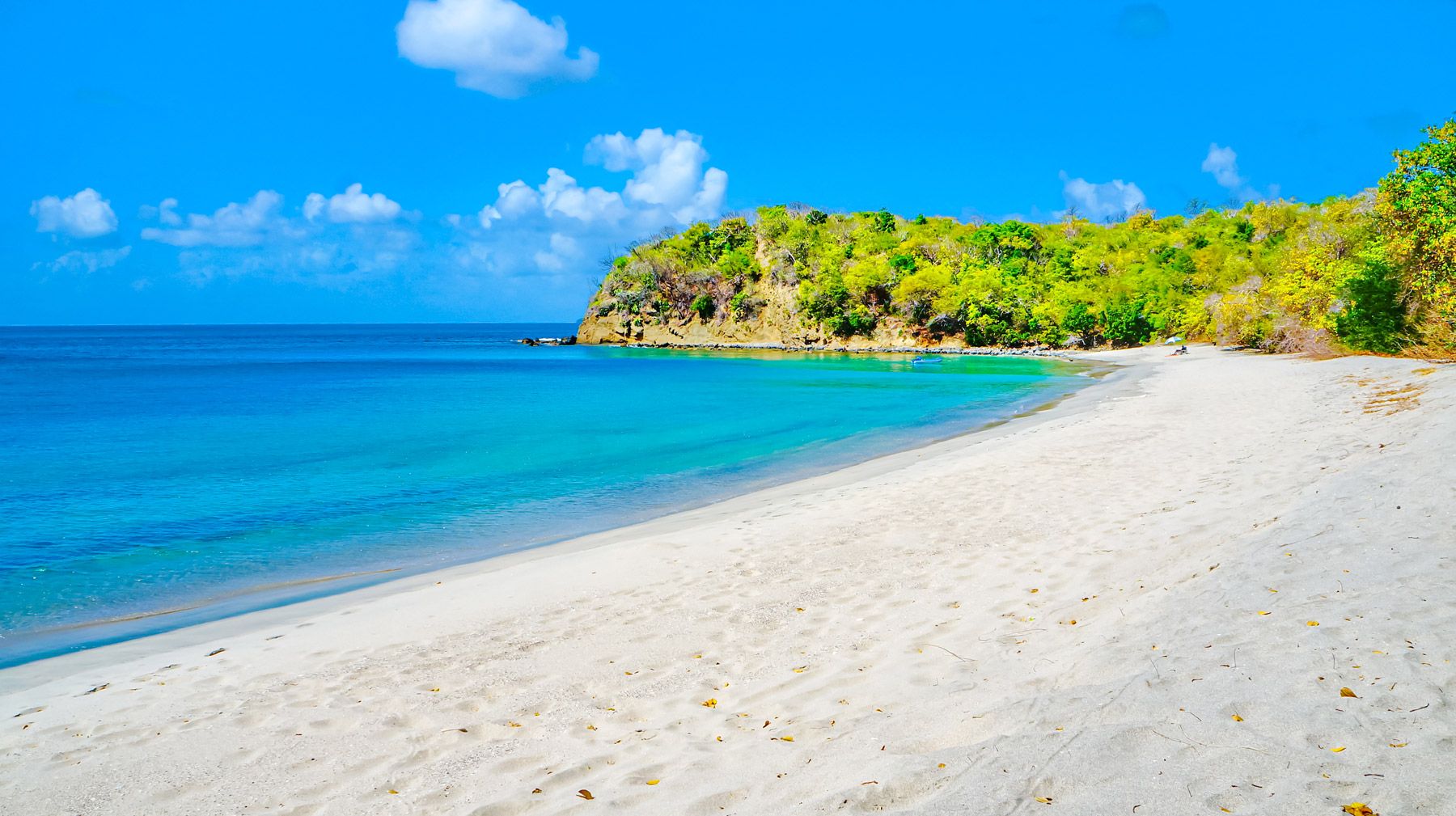 Anse La Roche Bay Carriacou Island Grenada
