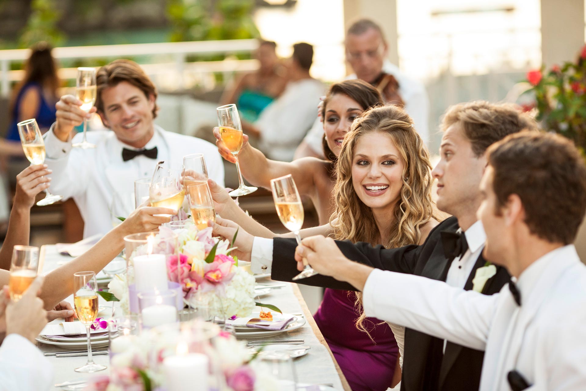 Wedding reception party group toasting