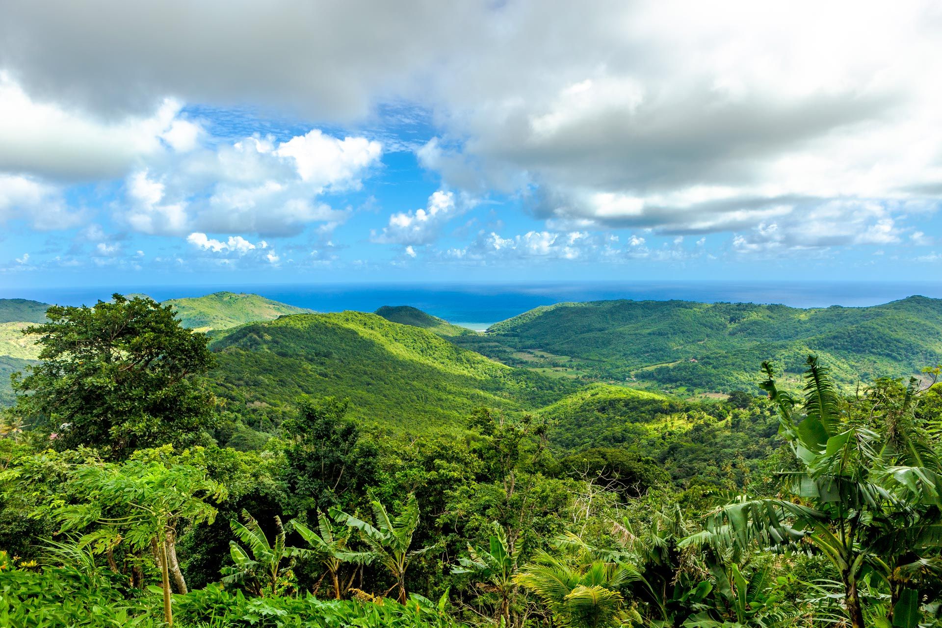 Green St. Lucia mountain range