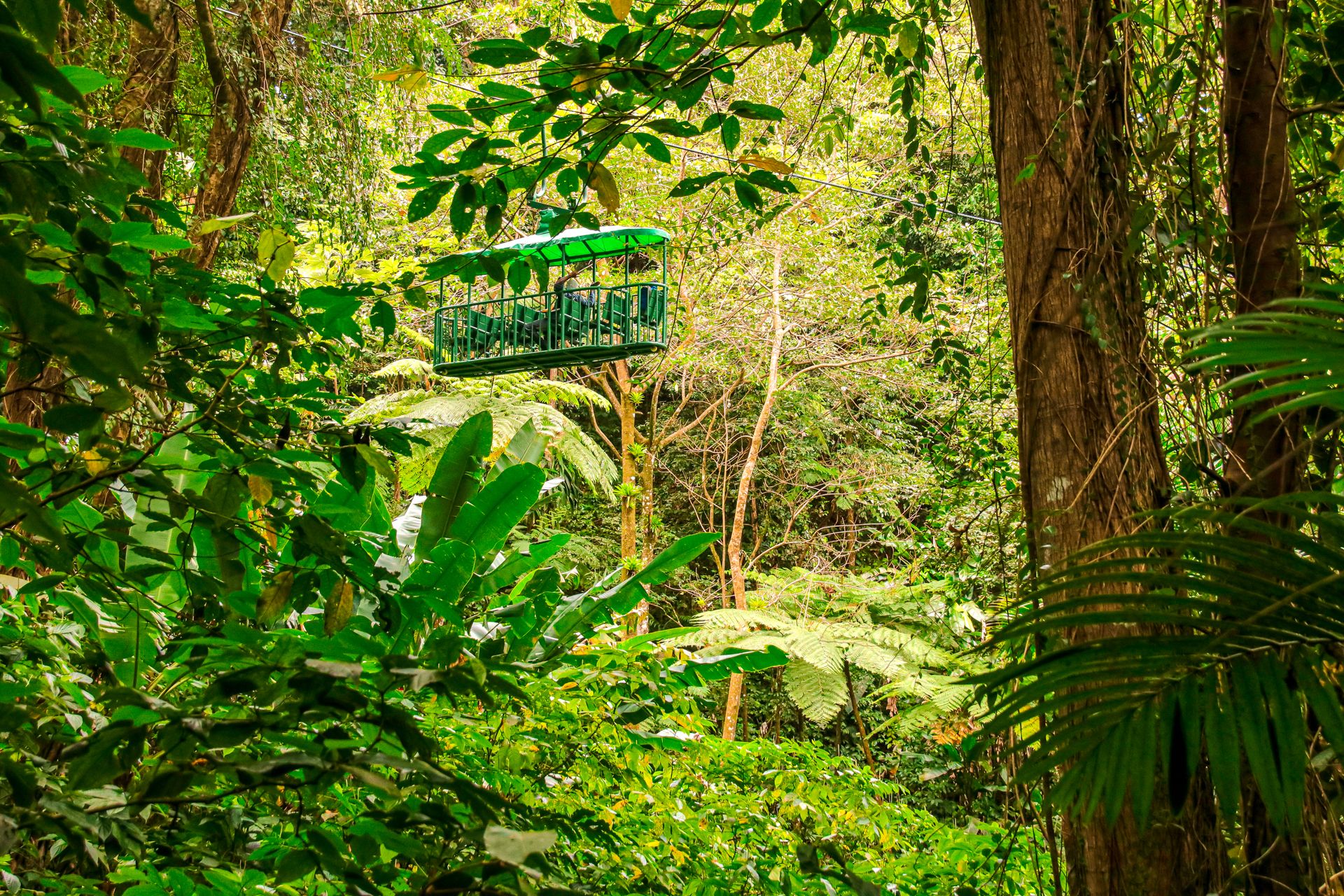 Aerial Tram Verdant Forest Saint Lucia