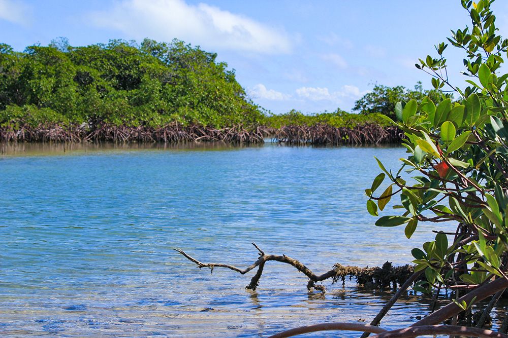 Andros-Island