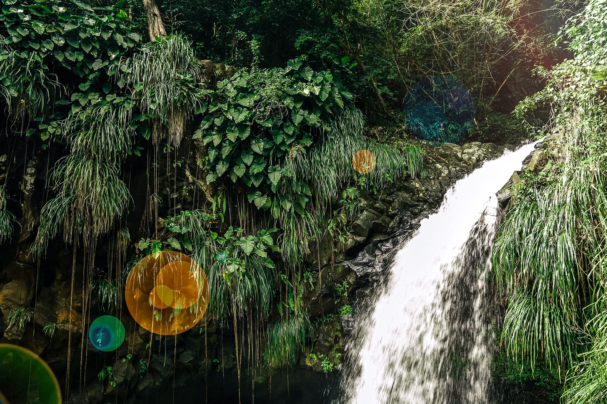 Annandale Falls Grenada Side View