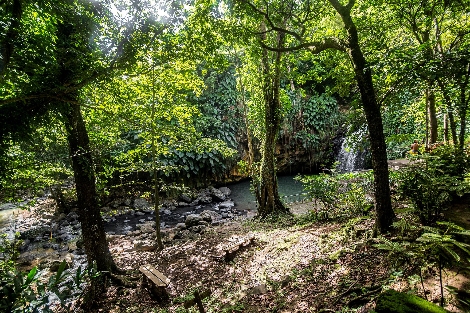 Annandale Falls Surrounding Nature Grenada
