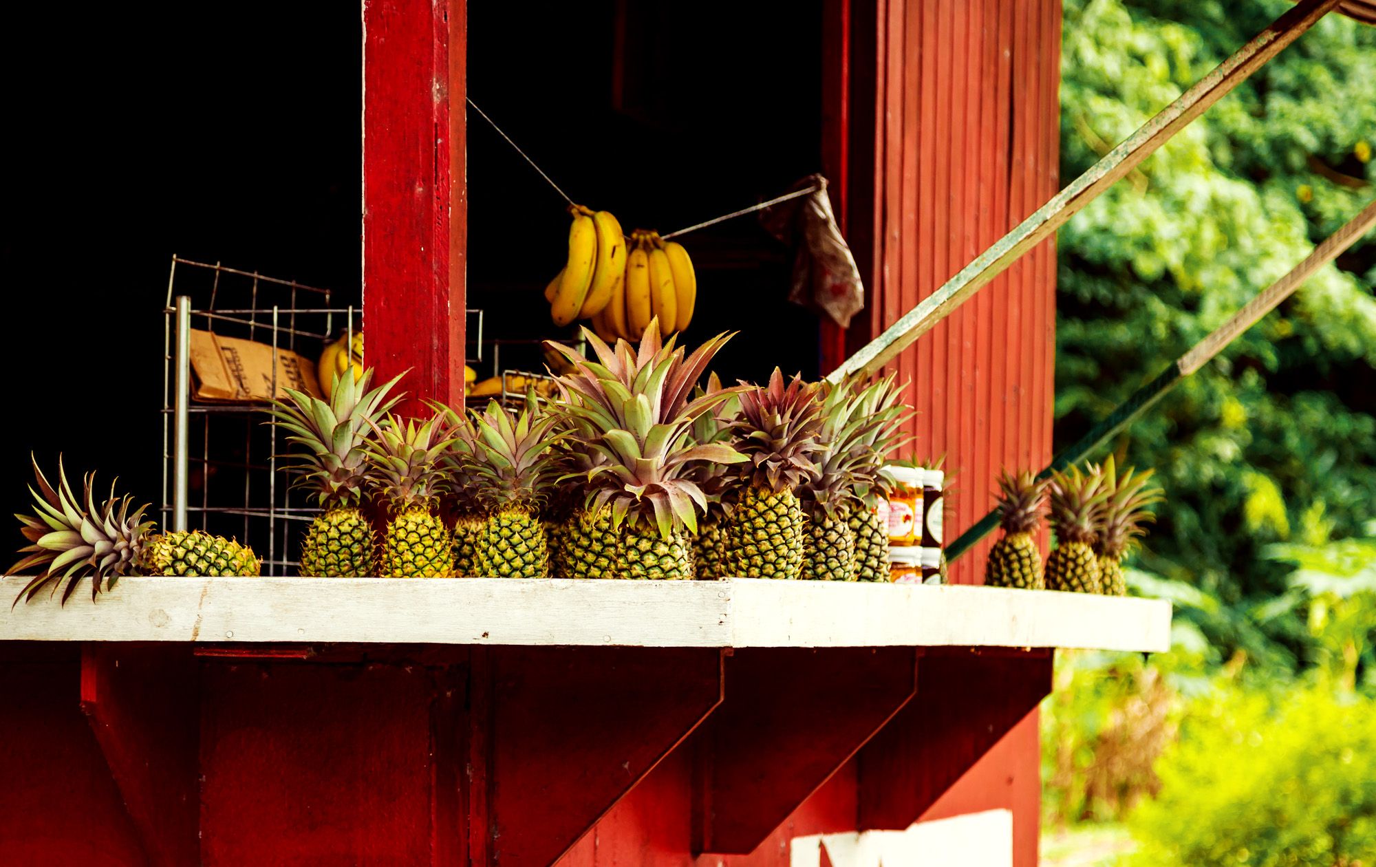 Antigua Black Pineapple Antigua Snacks