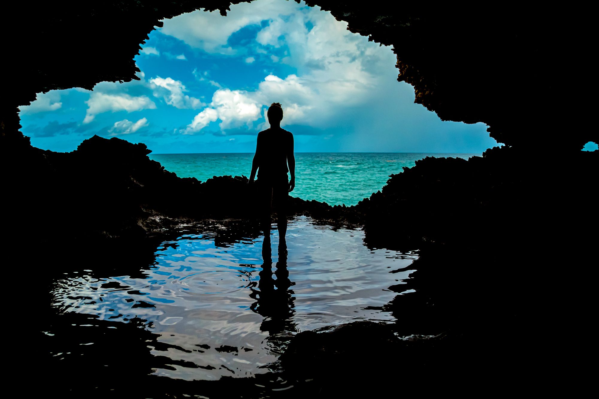 Barbados Animal Flower Cave