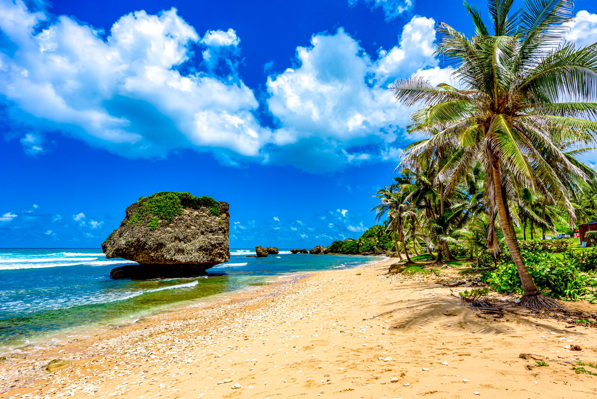 Barbados Bathsheba Beach