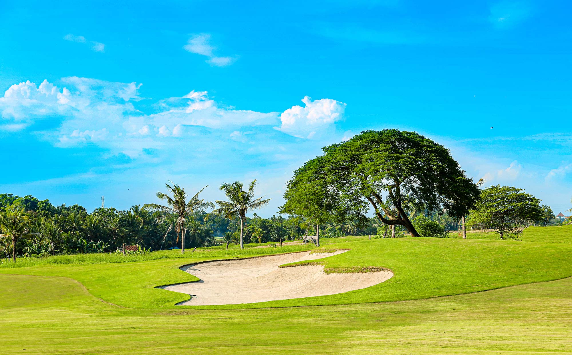 Barbados Golf Course