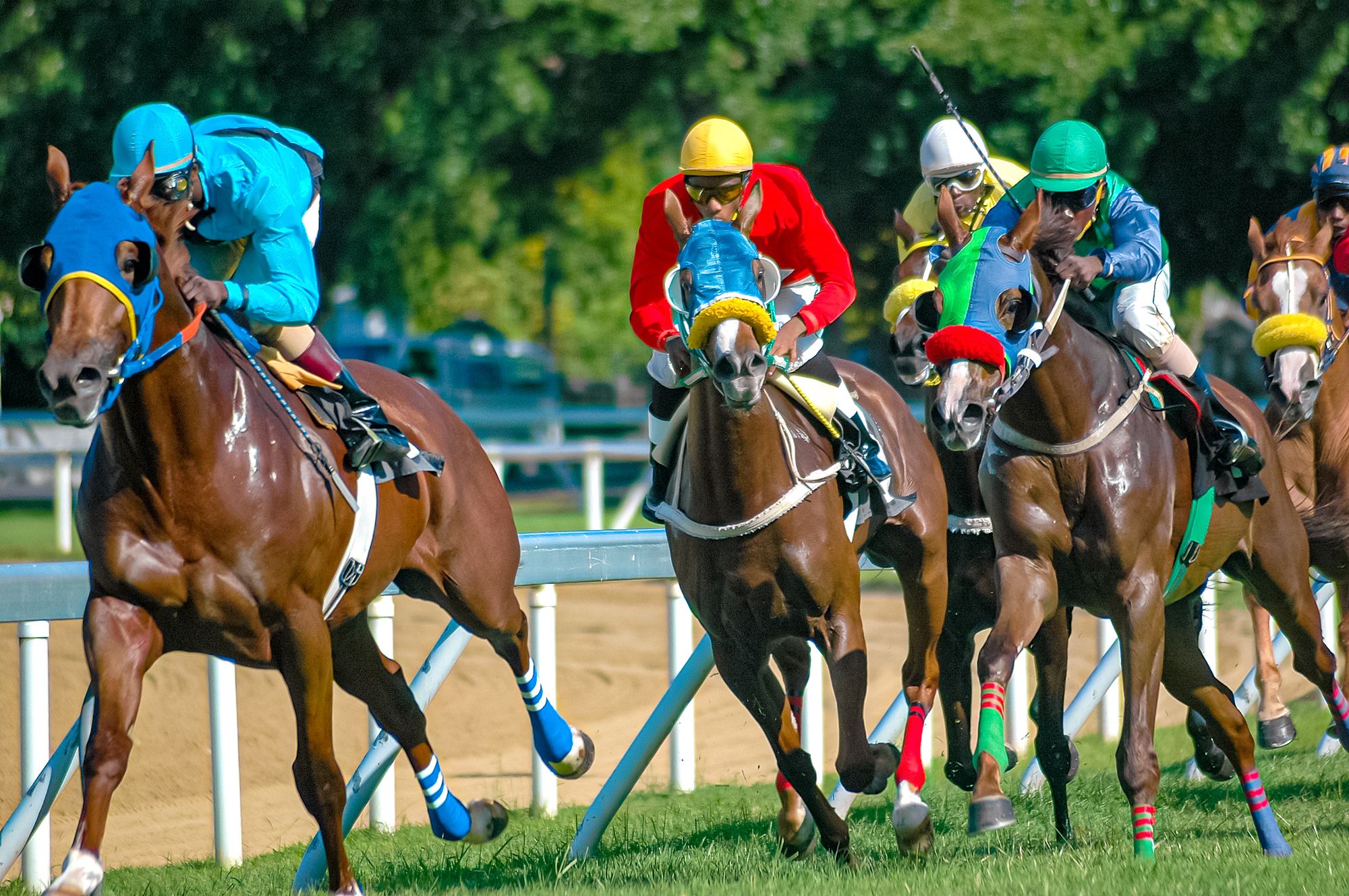 Barbados Horse Racing