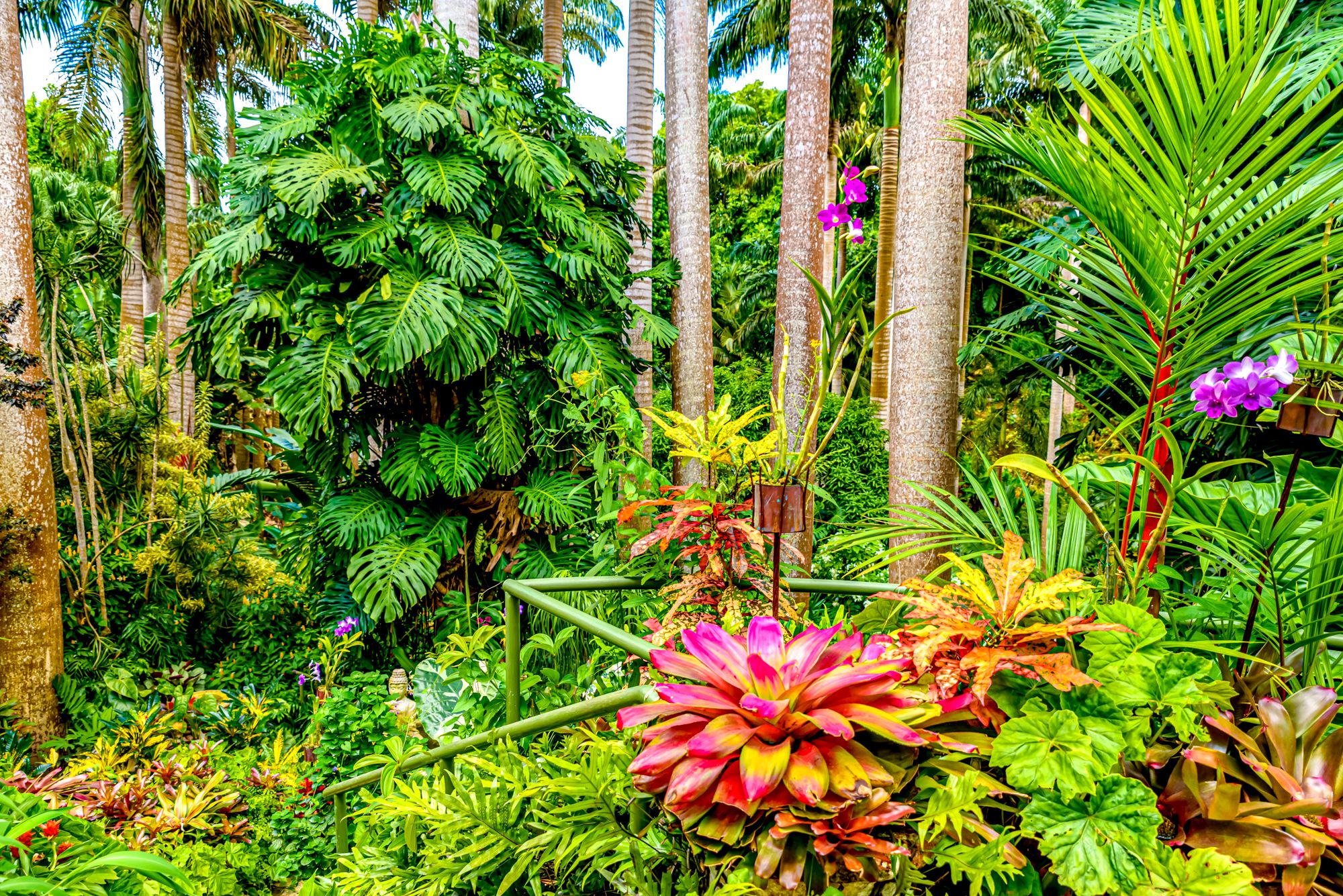 Barbados Huntes Gardens