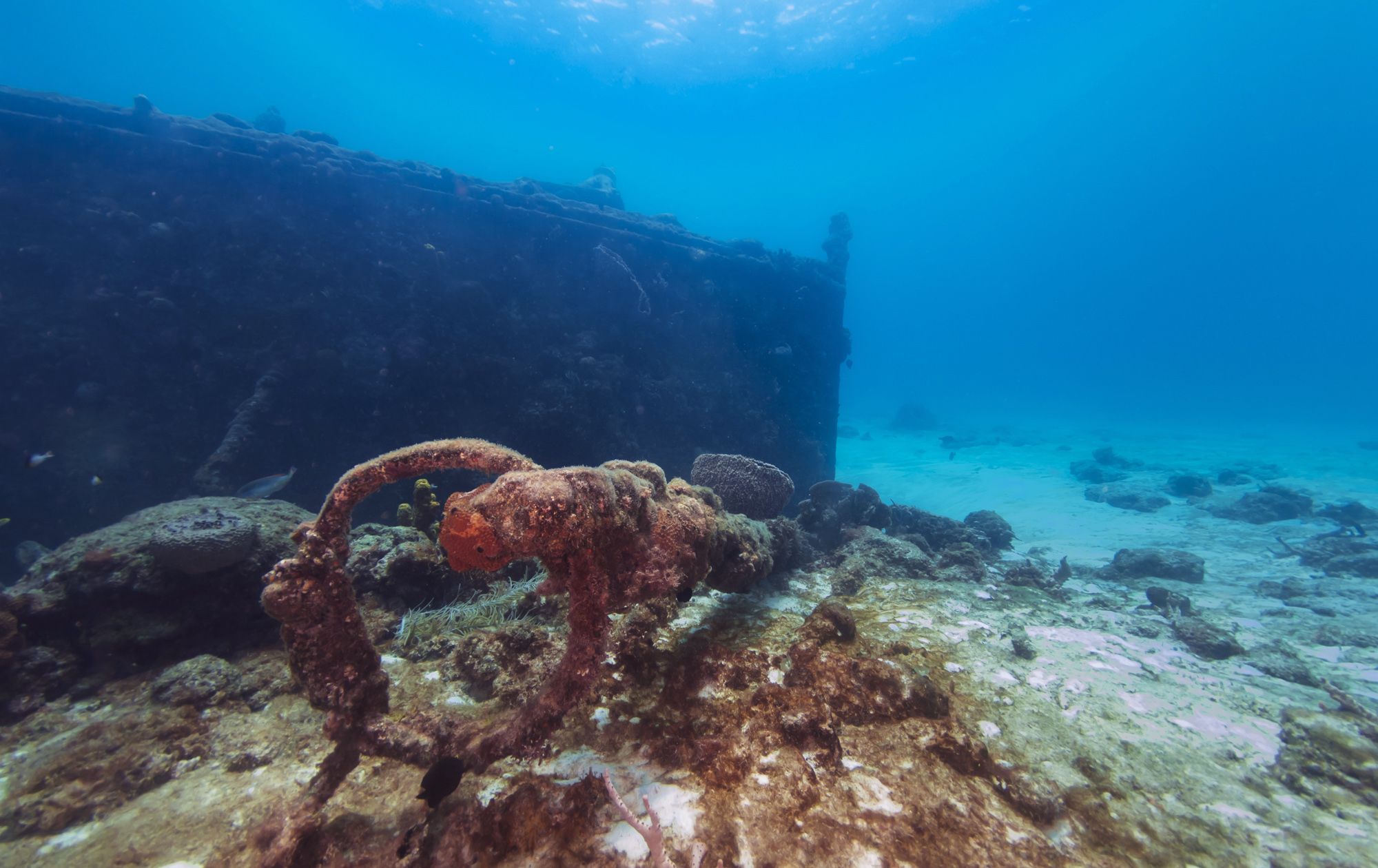 Berwyn Wreck Barbados