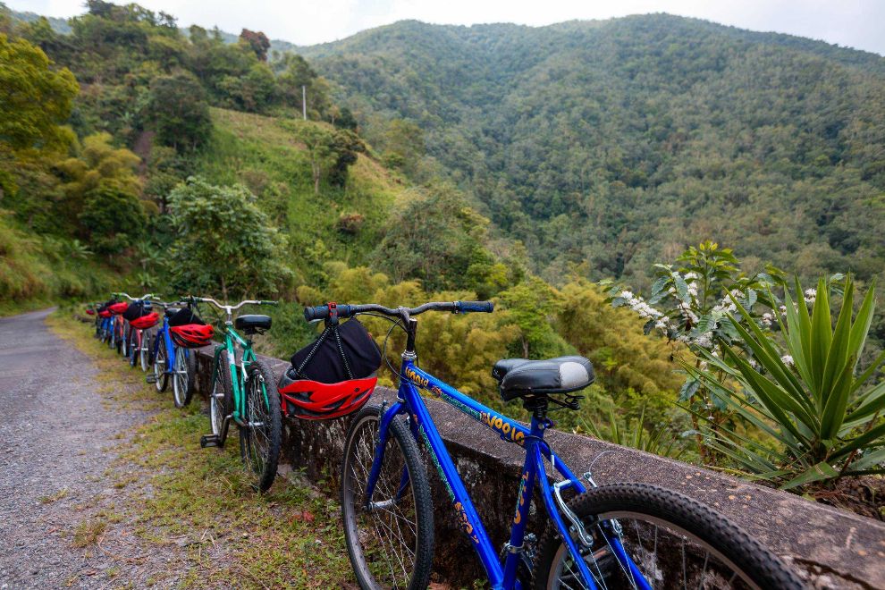 Bicycle Tour Ocho Rios Jamaica