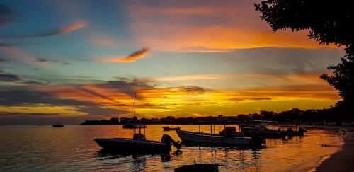 Bloody Bay In Jamaica — Pristine, Beautiful & A Vacation Must