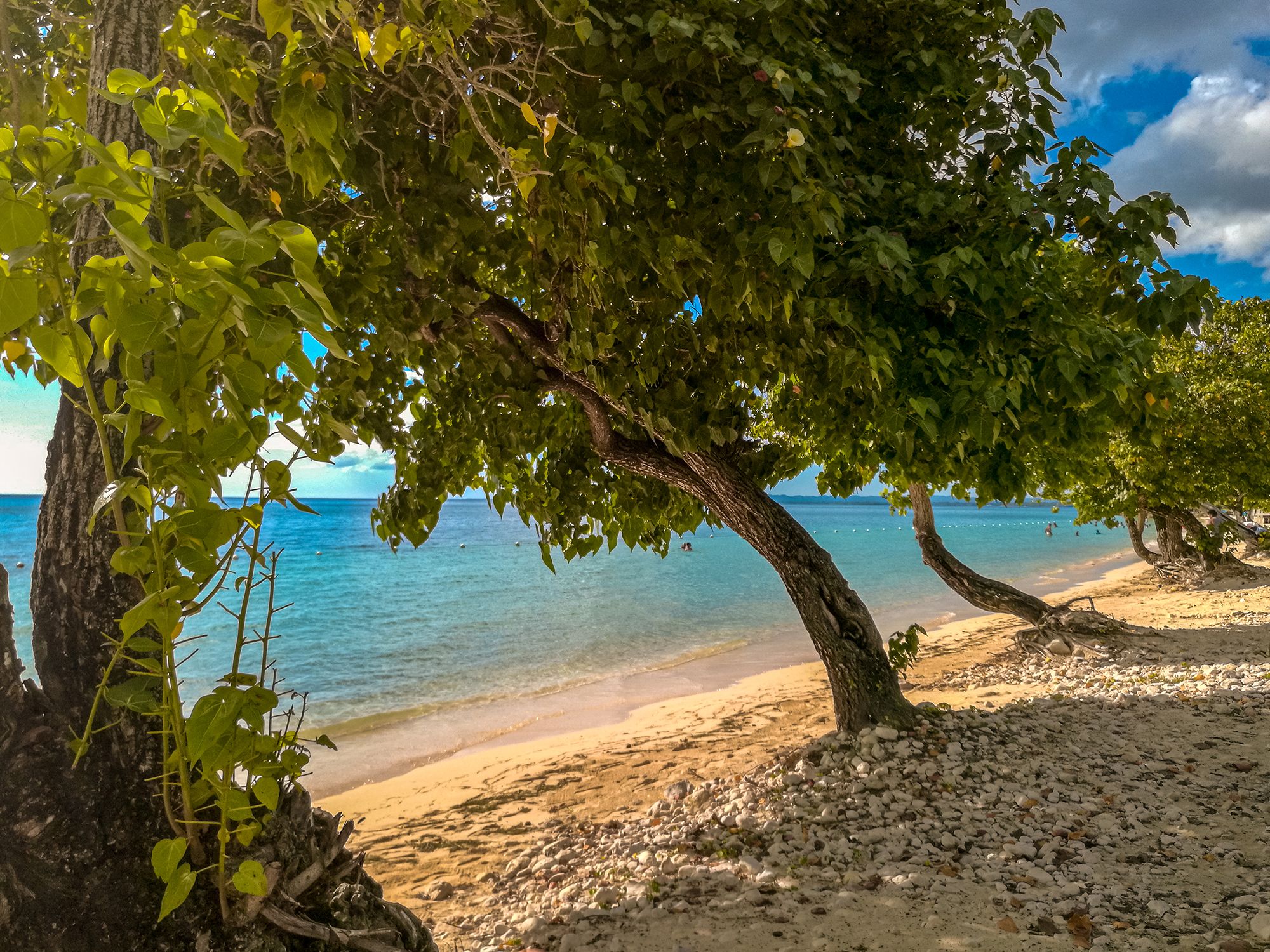 Bluefields Beach South Coast Jamaica