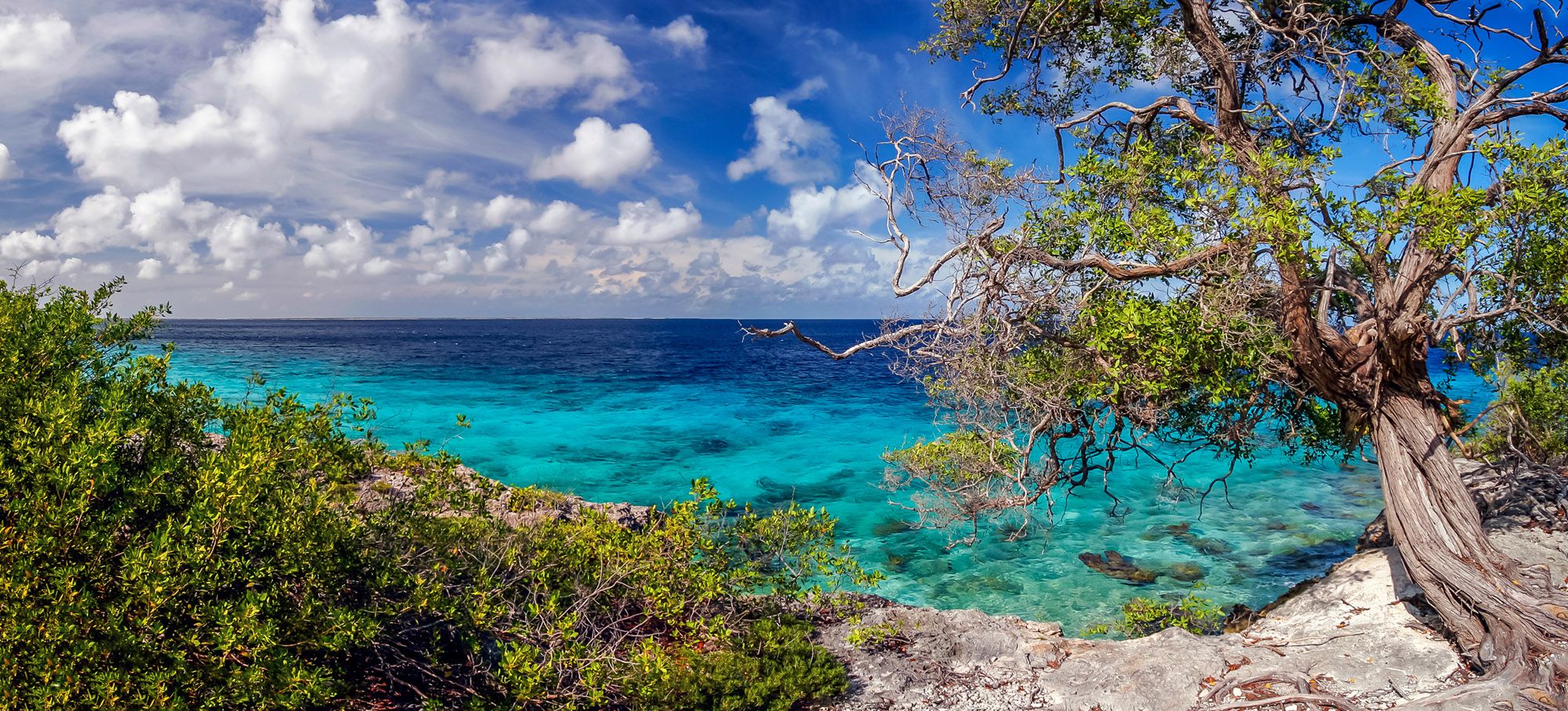 Bonaire