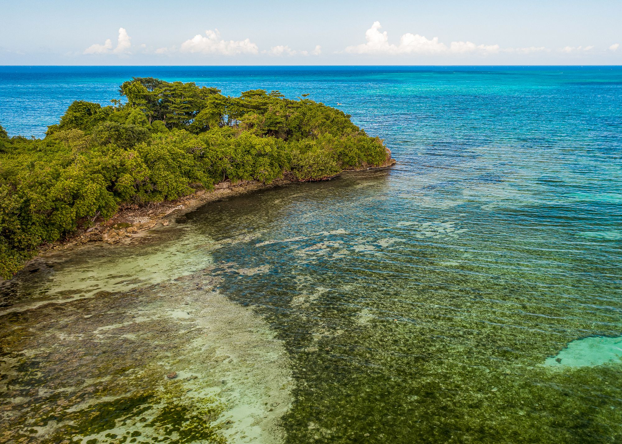 Booby Cay Negril Jamaica