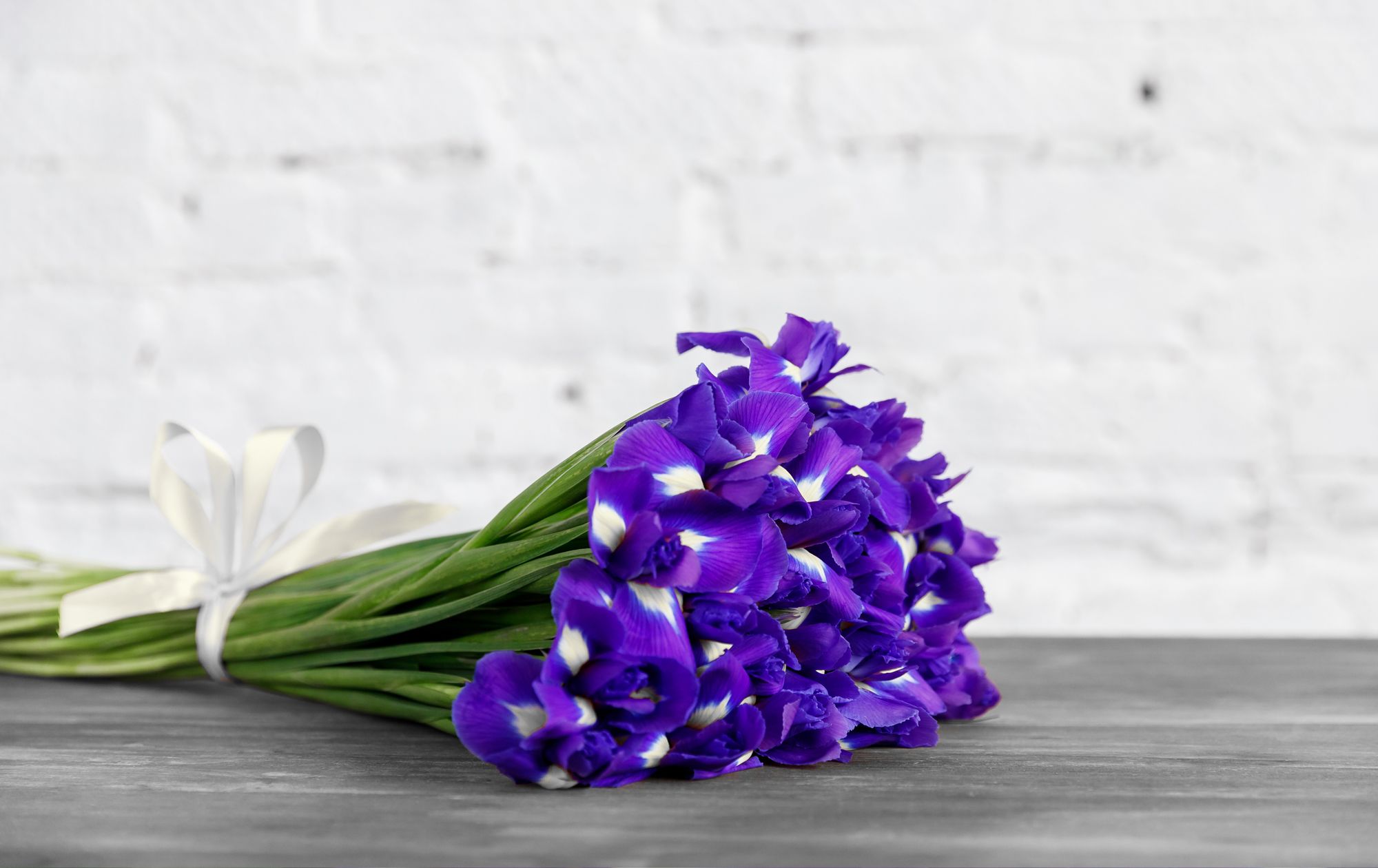 Bouquet of Irises