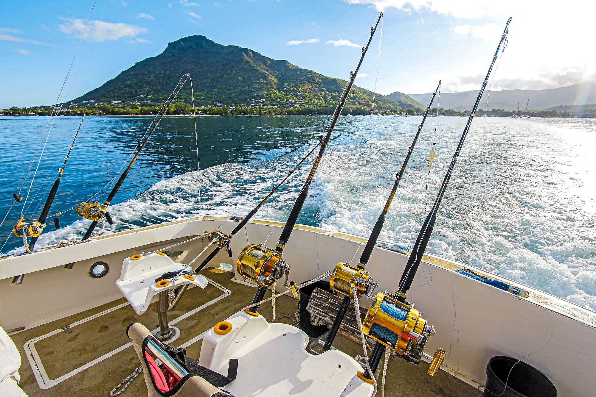 Caribbean Fishing Guide Deep Sea Mountain