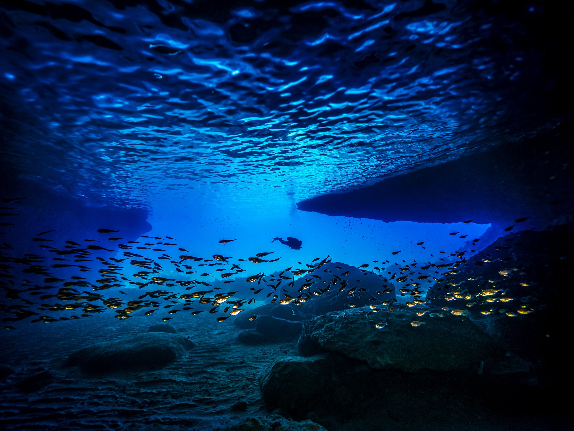 Curacao Scuba Diving Blue Room