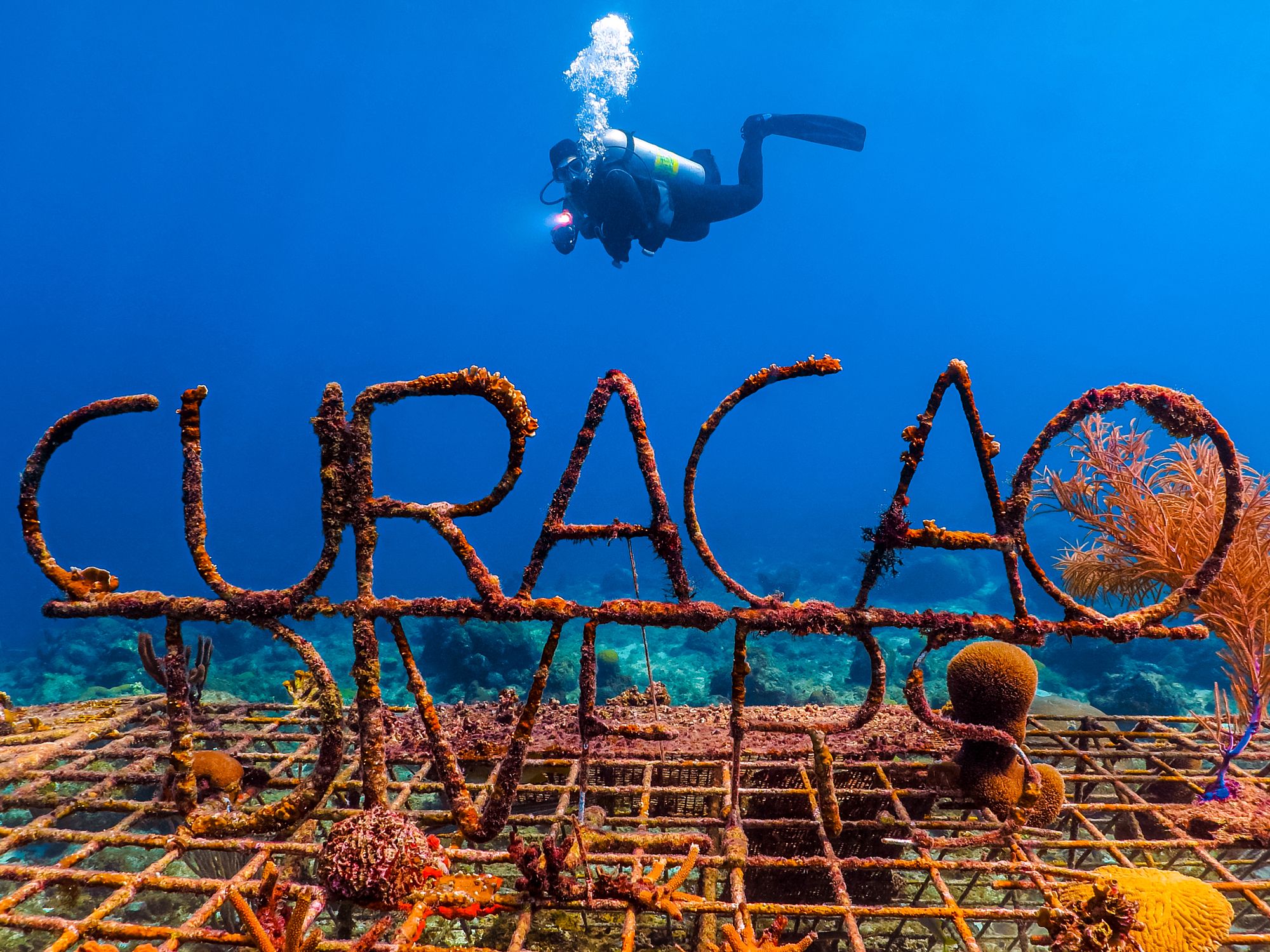 Curacao Scuba Diving