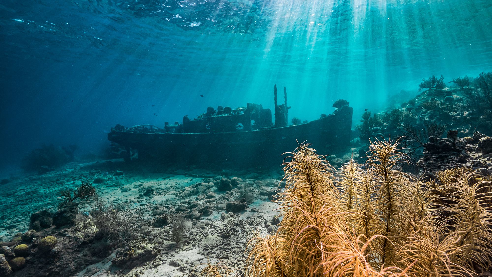 Curacao Snorkeling Tugboat