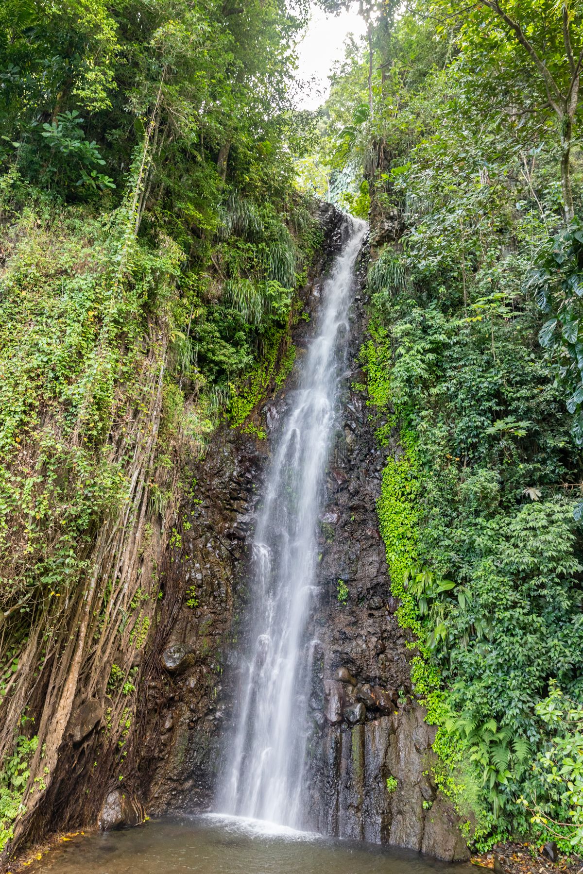 Dark-View-Falls