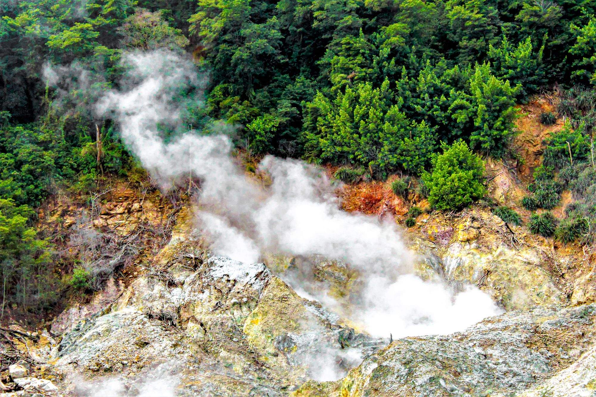 Dive in Volcano Saint Lucia