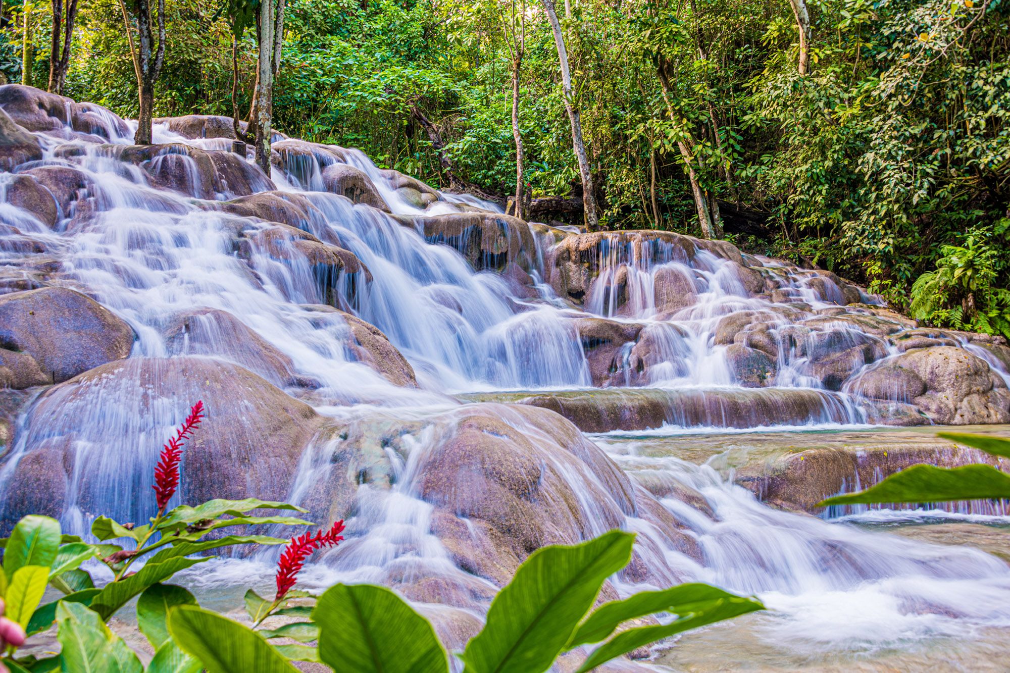 Dunn-s-River-Falls