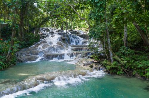 Dunn's River Falls: The Complete Guide