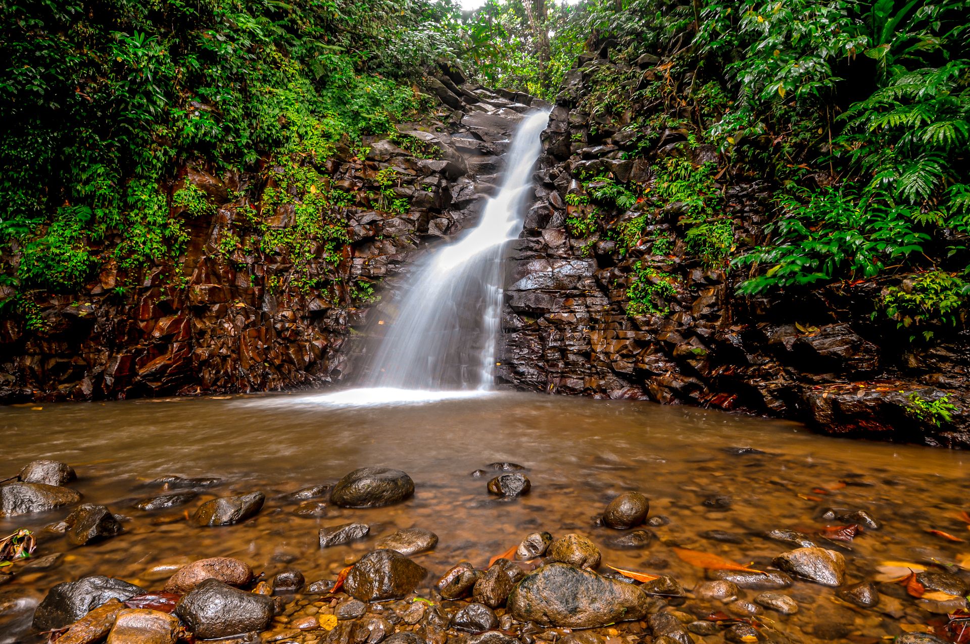 Enbas Saut Waterfall Saint Lucia