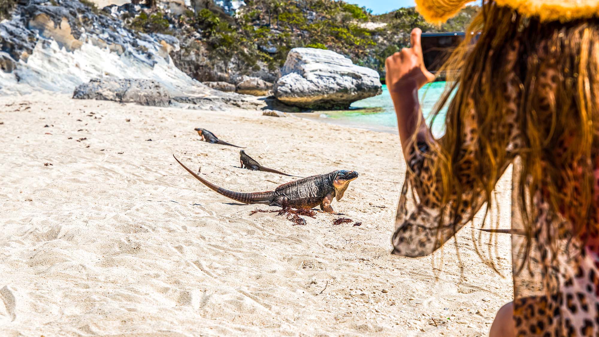 Exploring Bahamian Out Islands Iguana Cay