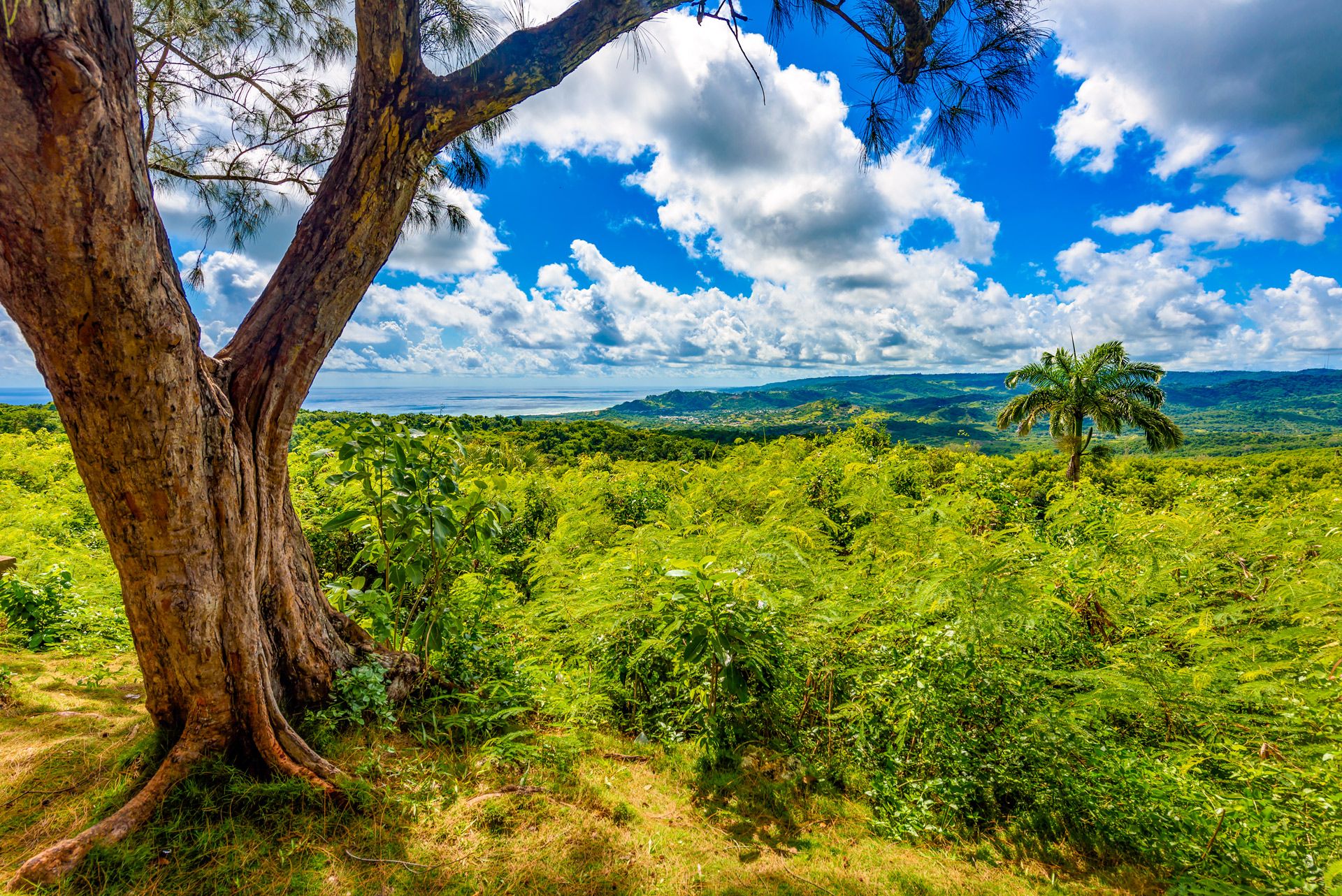 Farley Hill National Park