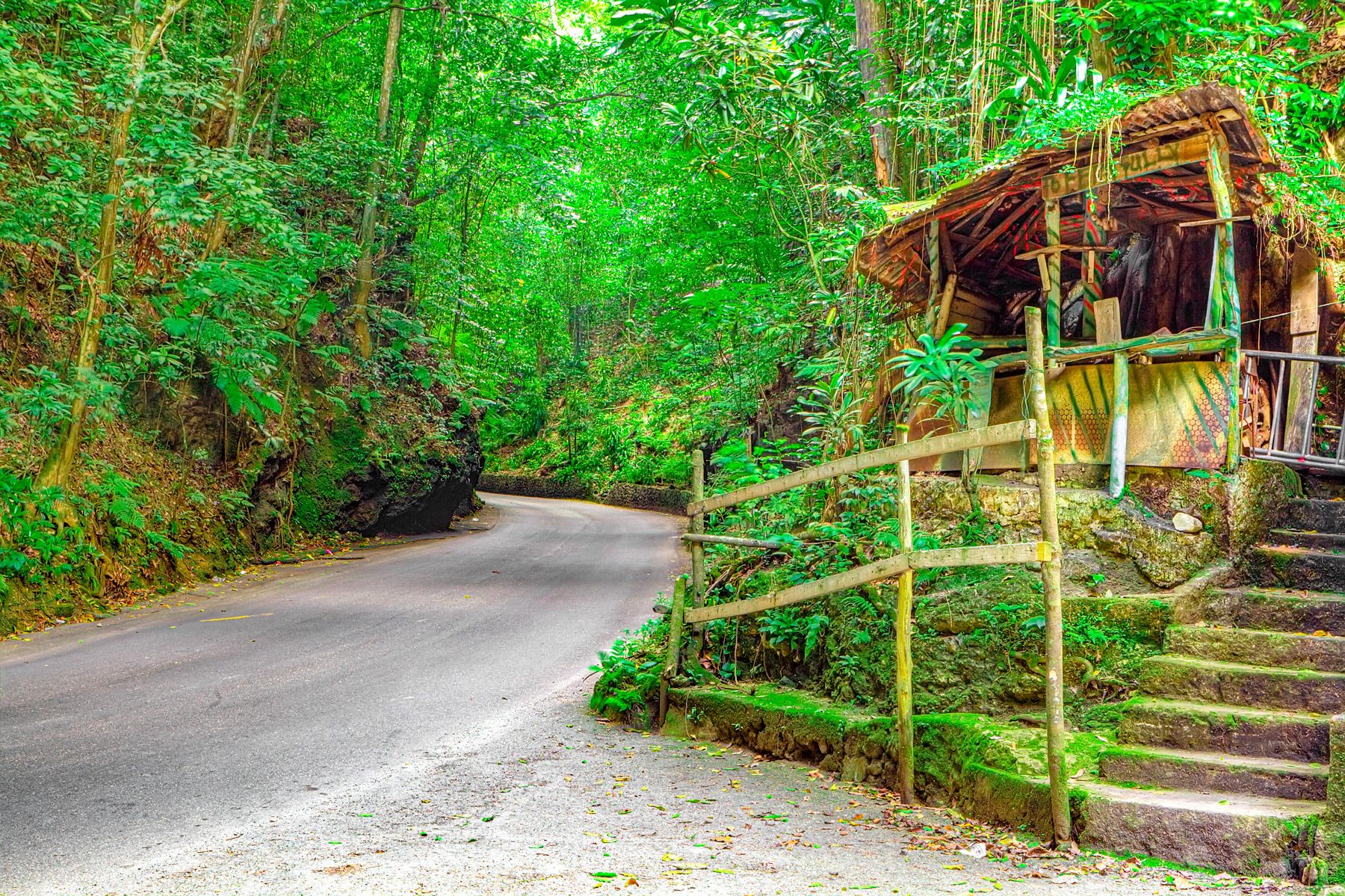 Fern Gully Ocho Rios Jamaica