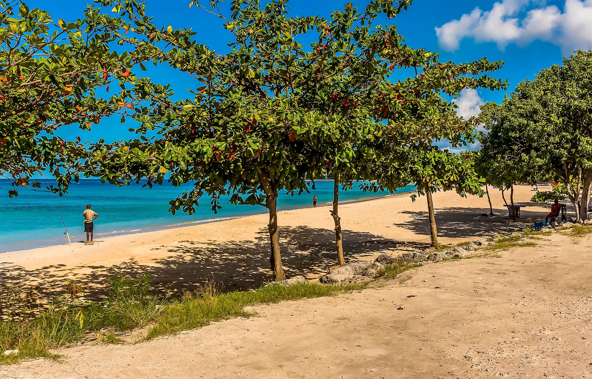 Fishing Shore Barbados