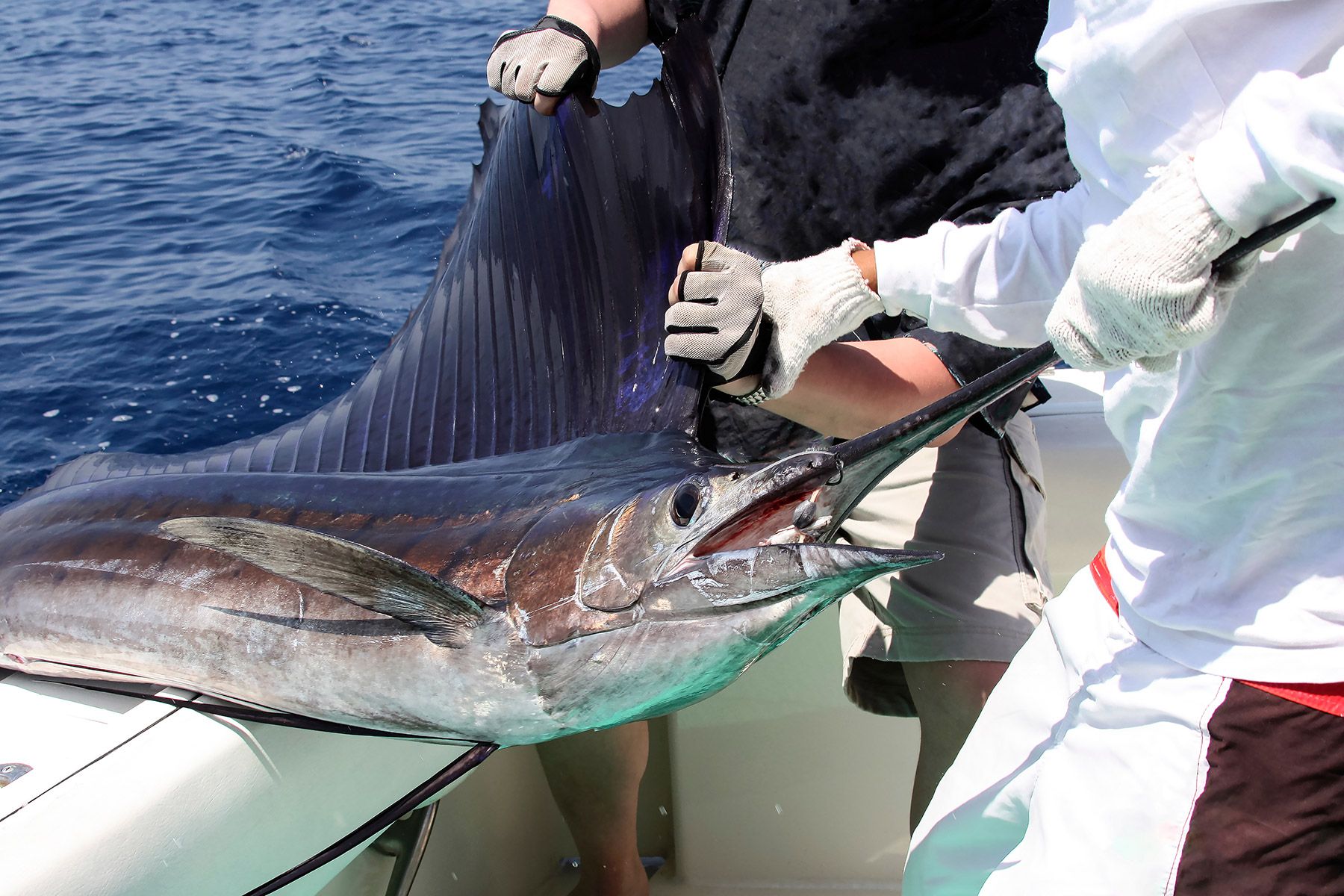 Fishing-in-Cancun