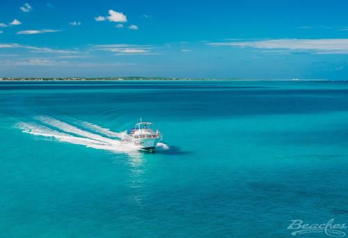 From Reef Dives to Soccer Goals: The Ocean Connects Everything