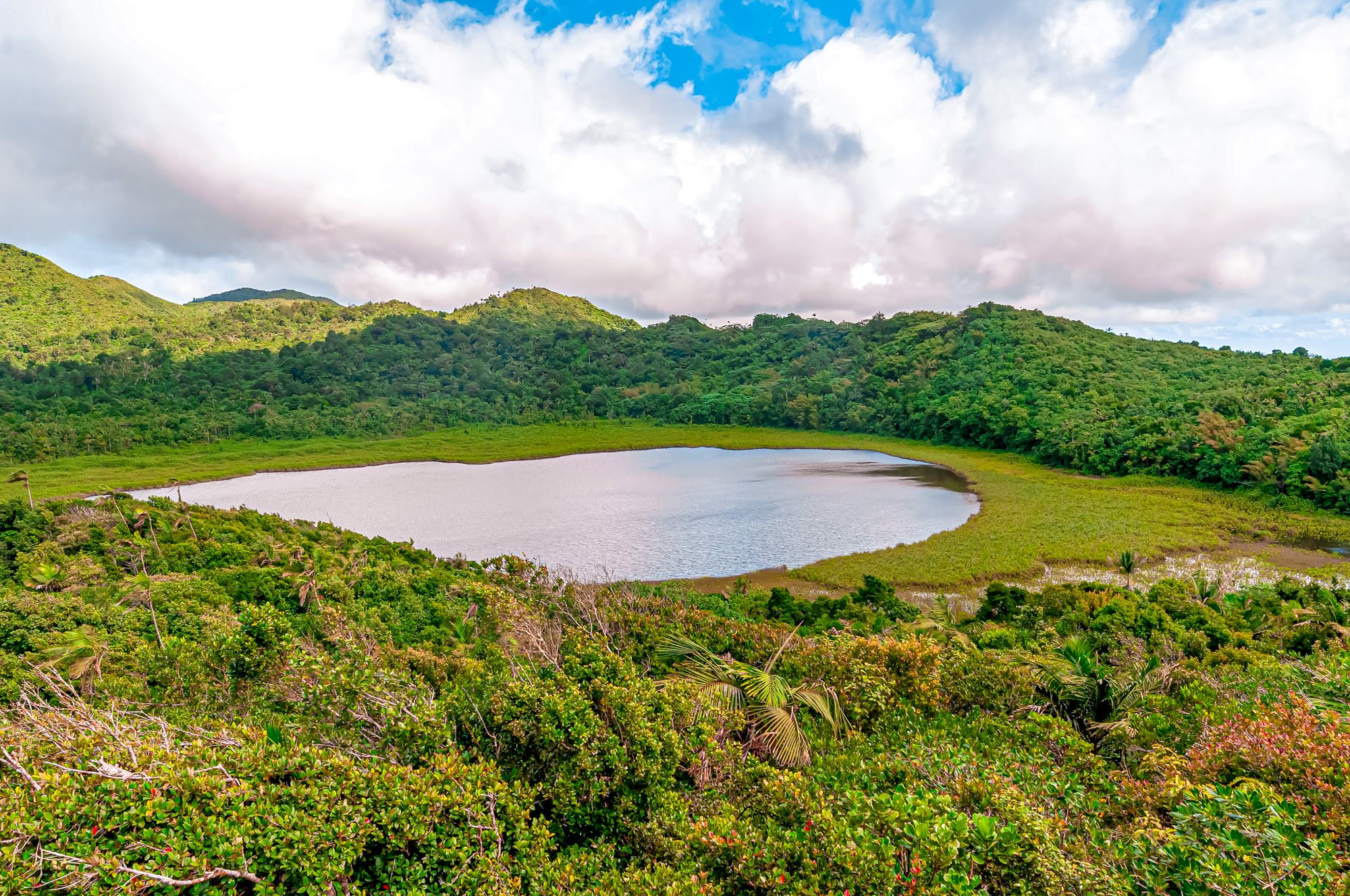 Grand Etang National Park Grenada Volcano Crater Lake