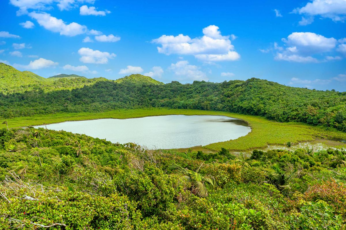 Grand-Etang-National-Park