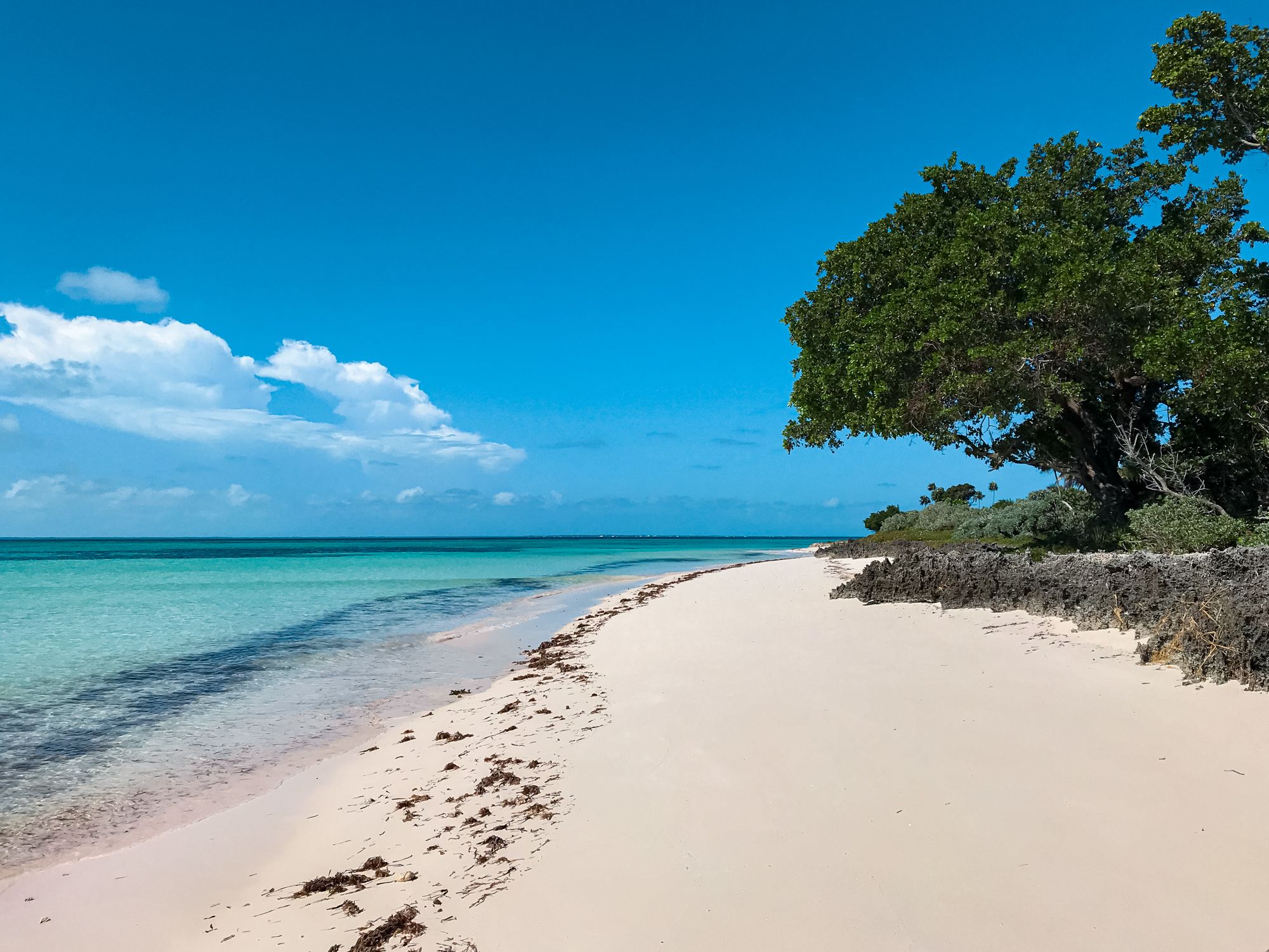 Great Guana Cay The Bahamas