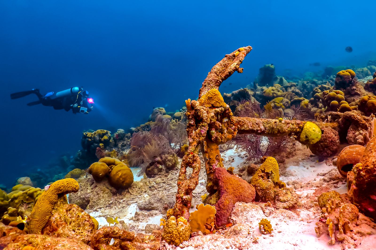 Grenada Scuba Diving Anchor