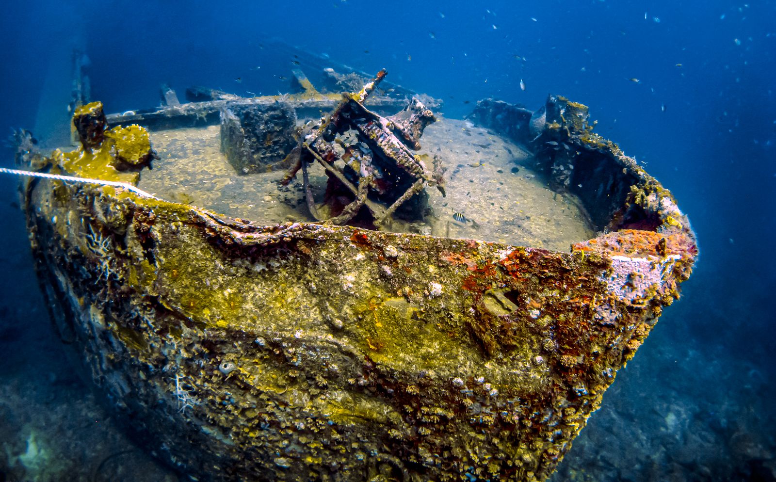 Grenada Scuba Diving Veronica Wreck