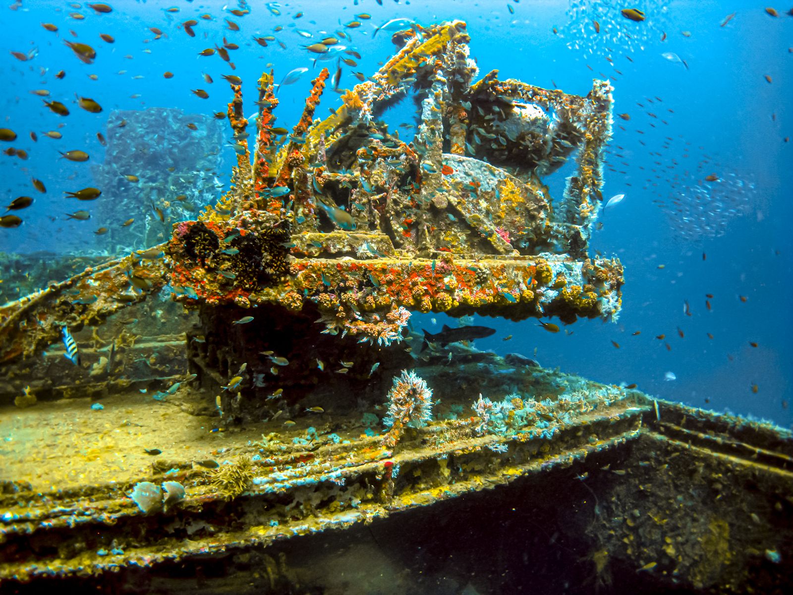 Grenada Scuba Diving Wreck