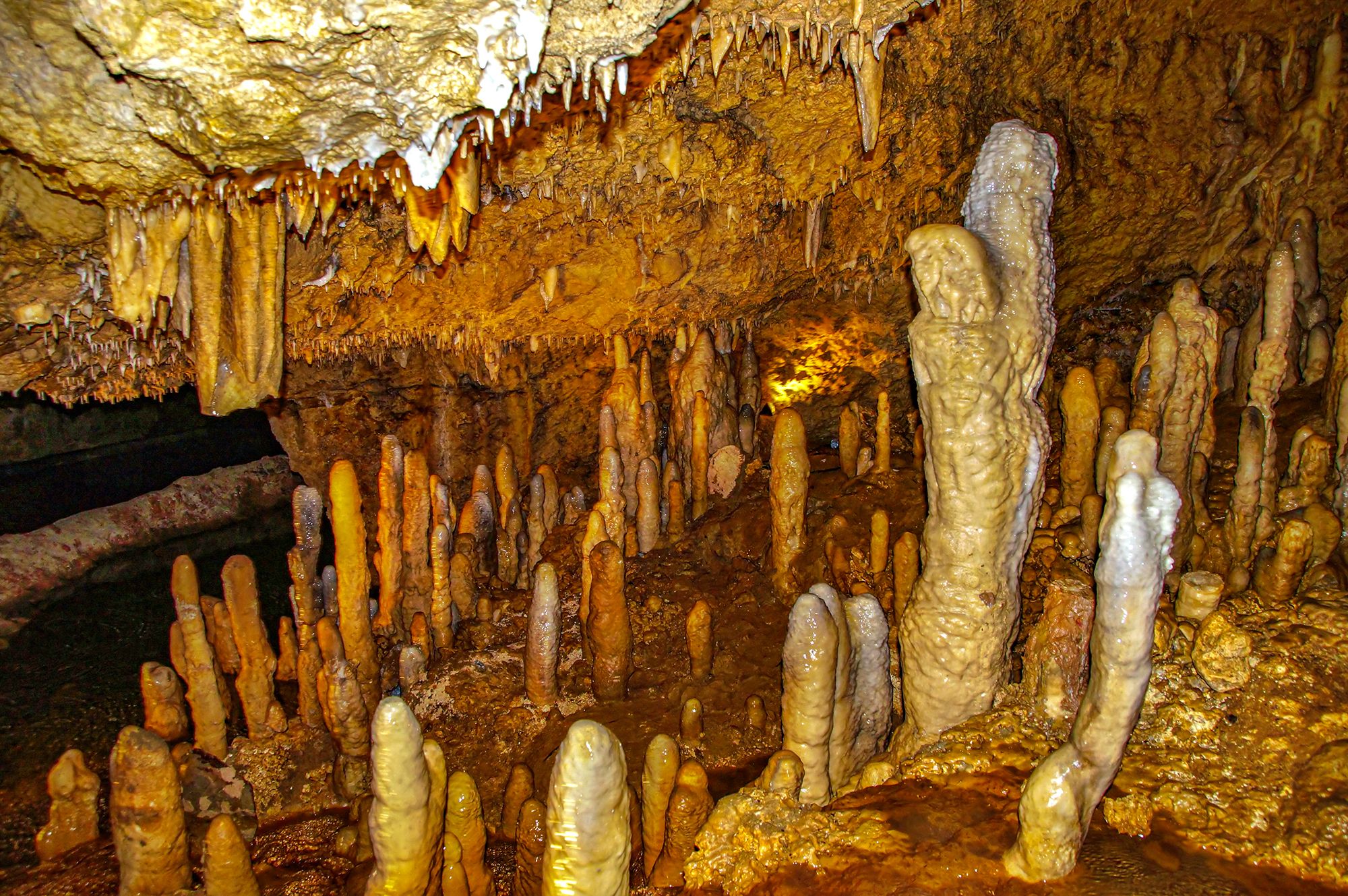 Harrisons Caves Barbados stalagmite