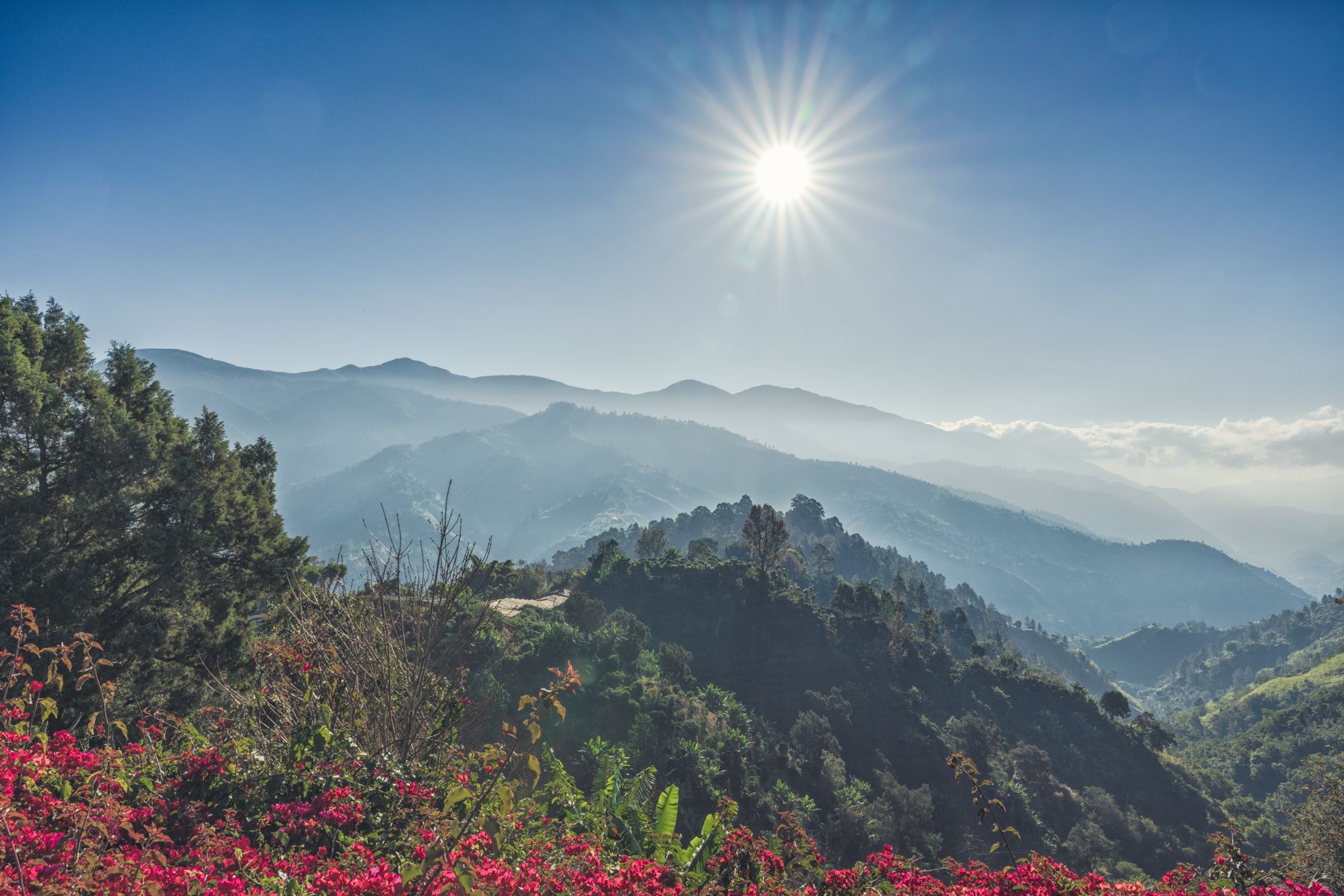 High-up-in-the-Blue-Mountains-in-Jamaica-1