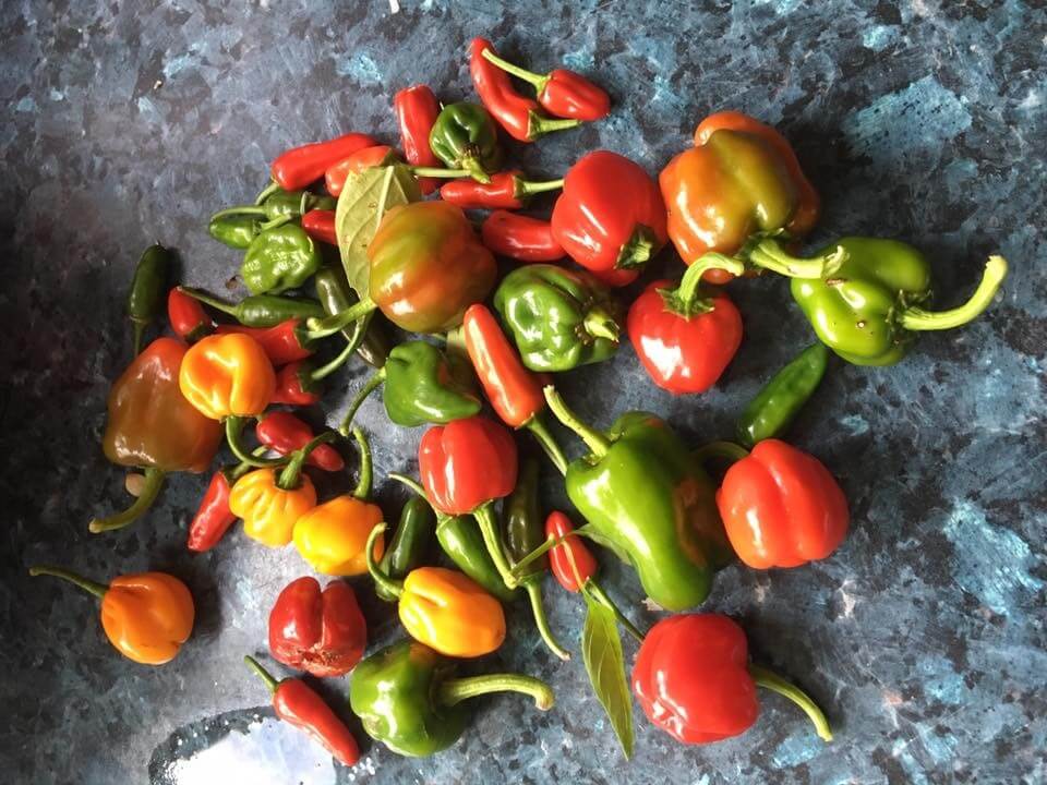 How To Cook with Scotch Bonnet Peppers