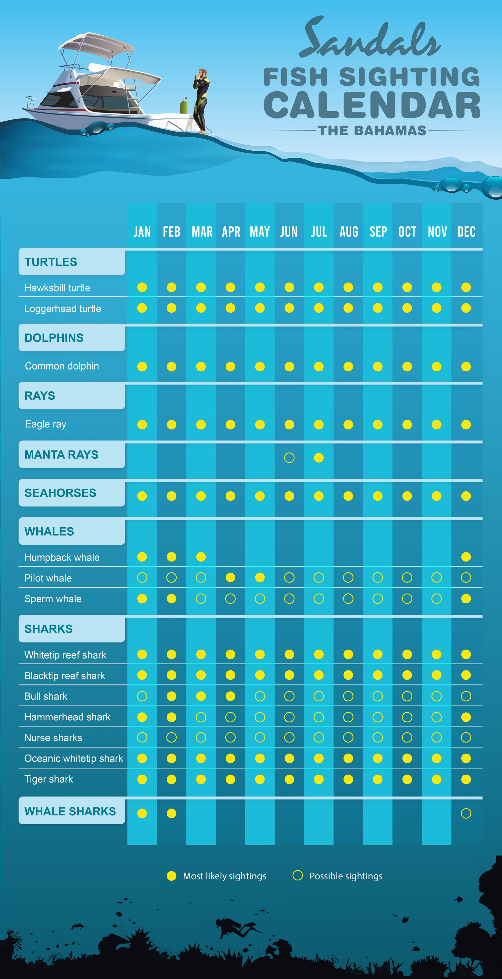 Infographic-Fish-Calendar---Bahamas-1