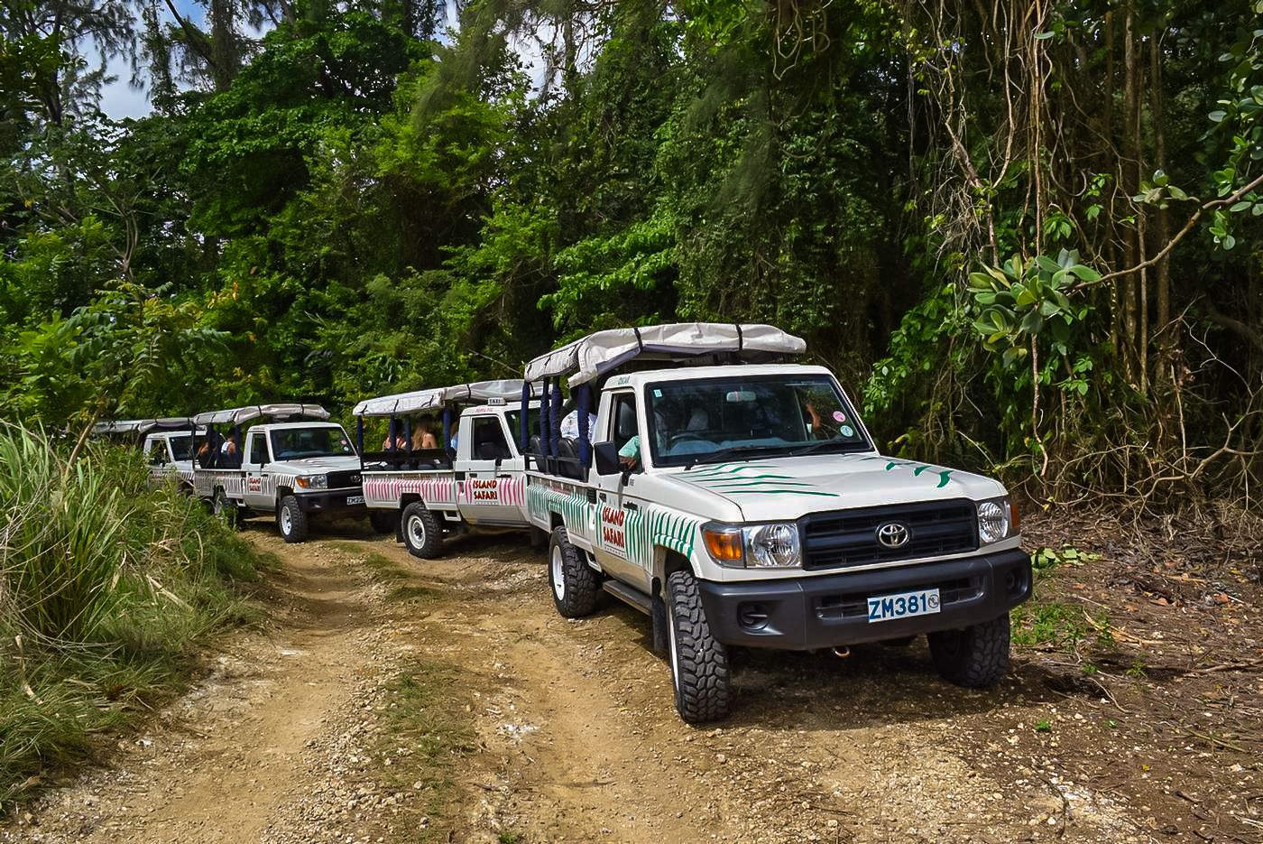 Jeeps making their way through jungle path