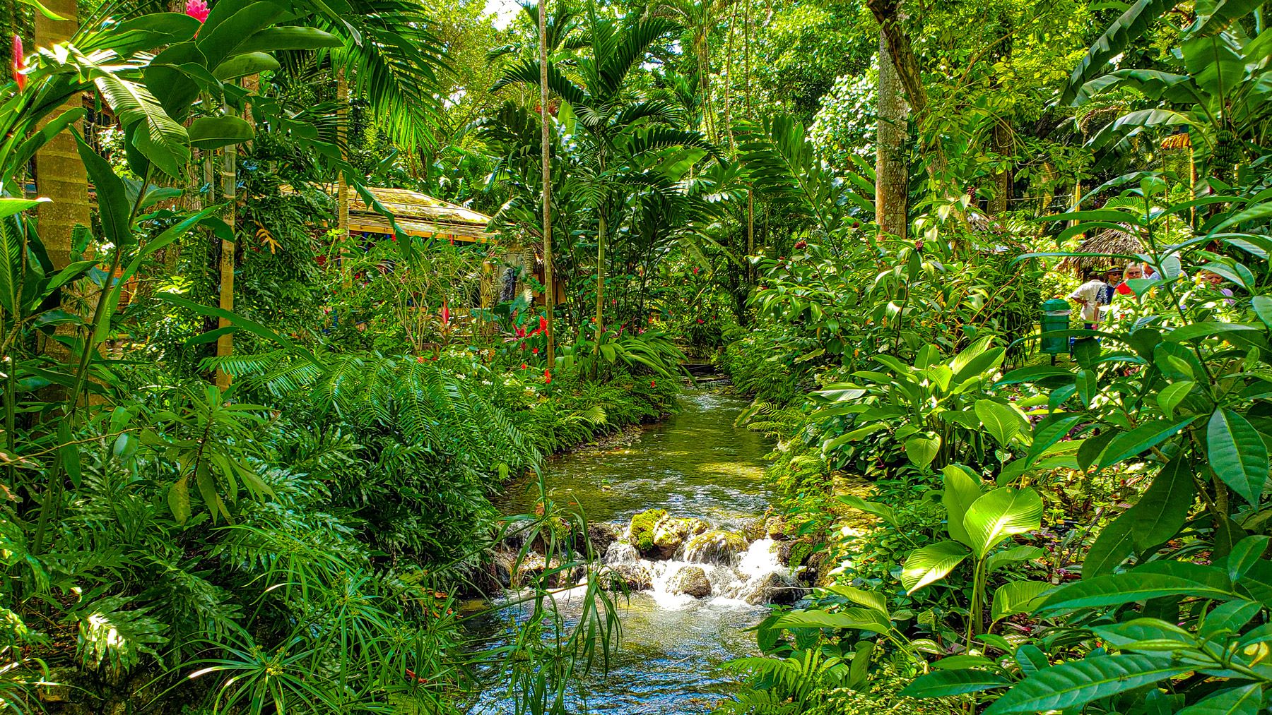 Konoko Falls Ocho Rios Jamiaca