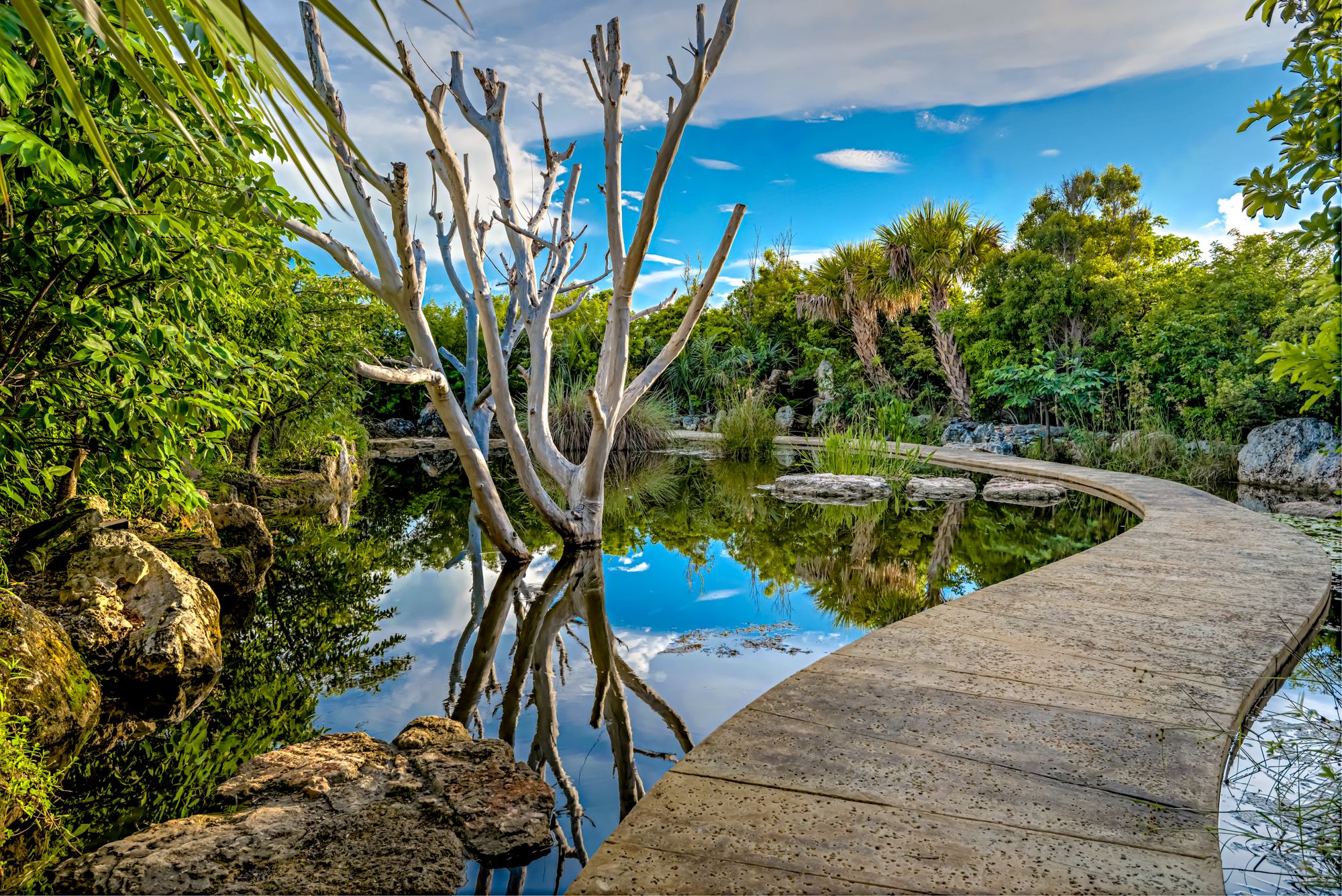 Leon Levy Native Plant Preserve