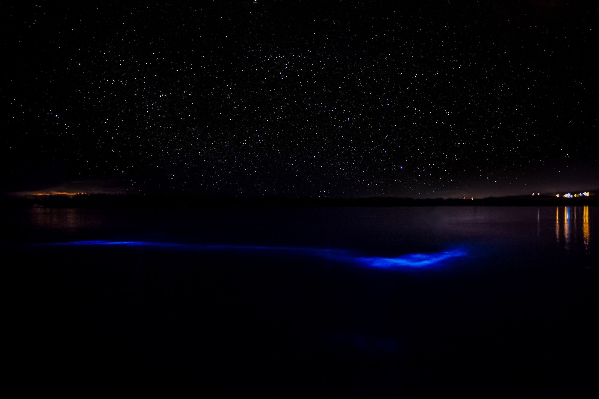 Luminous Lagoon Jamaica Night Sky